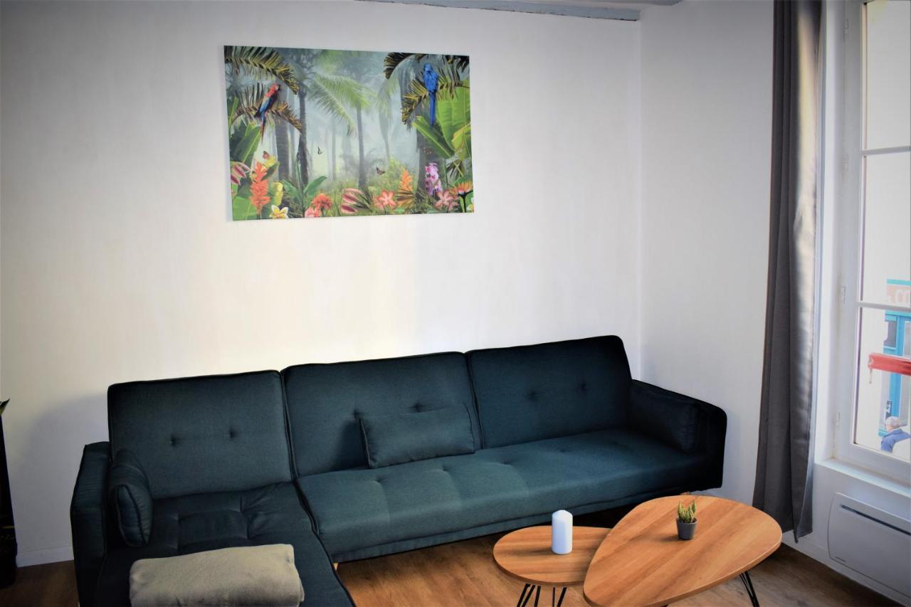 Gite Le Nid Des Zoo Zio, 5Mn Beauval, Appartement Terrasse Centre-Ville Saint-Aignan  Exteriör bild