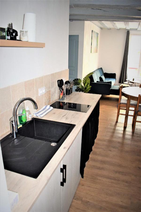 Gite Le Nid Des Zoo Zio, 5Mn Beauval, Appartement Terrasse Centre-Ville Saint-Aignan  Exteriör bild