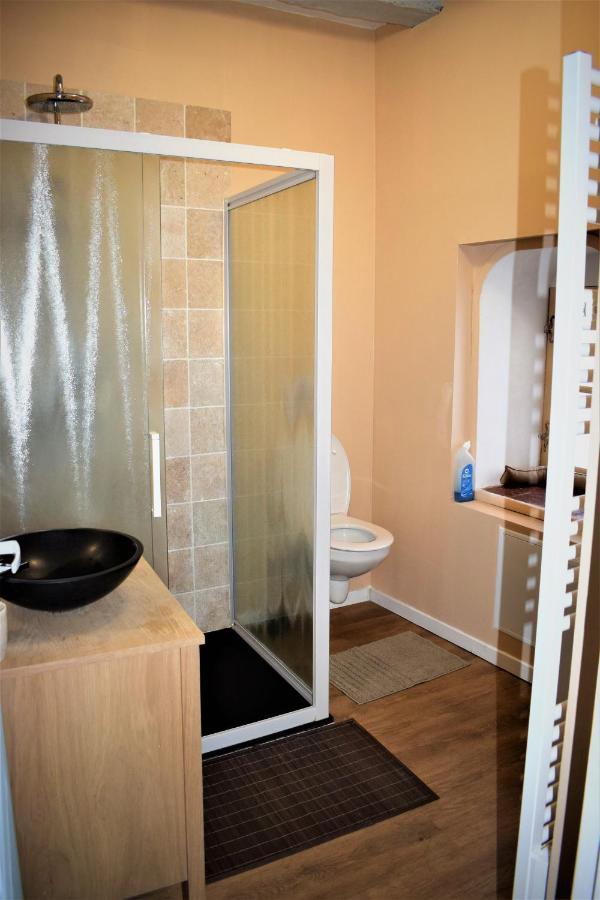Gite Le Nid Des Zoo Zio, 5Mn Beauval, Appartement Terrasse Centre-Ville Saint-Aignan  Exteriör bild