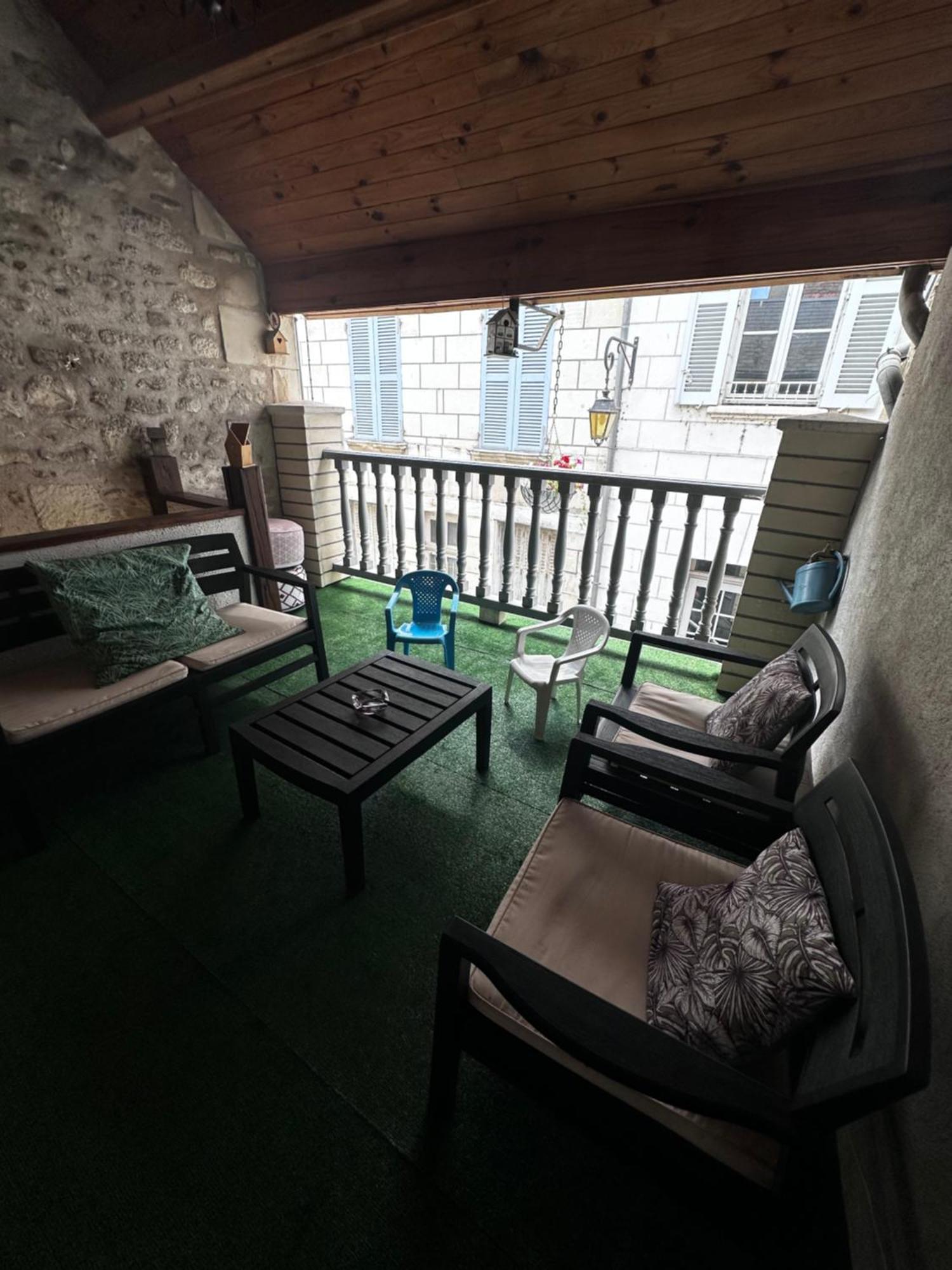 Gite Le Nid Des Zoo Zio, 5Mn Beauval, Appartement Terrasse Centre-Ville Saint-Aignan  Exteriör bild